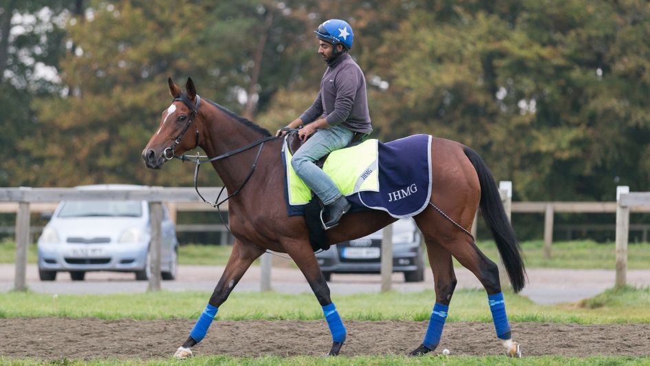 Enable strutting her stuff in Newmarket