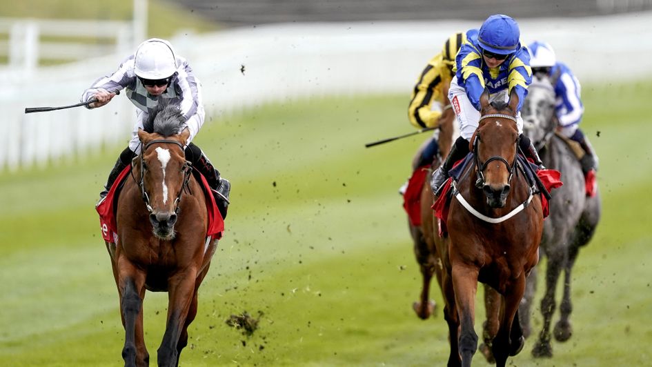 Japan masters Trueshan at Chester