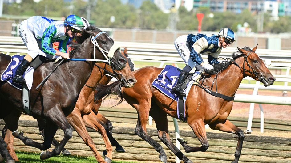 Coolangatta - could head to Royal Ascot