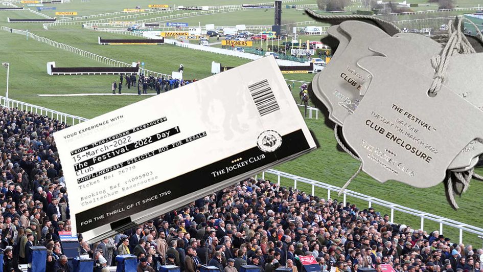 Scroll down to find out how you can win Cheltenham tickets