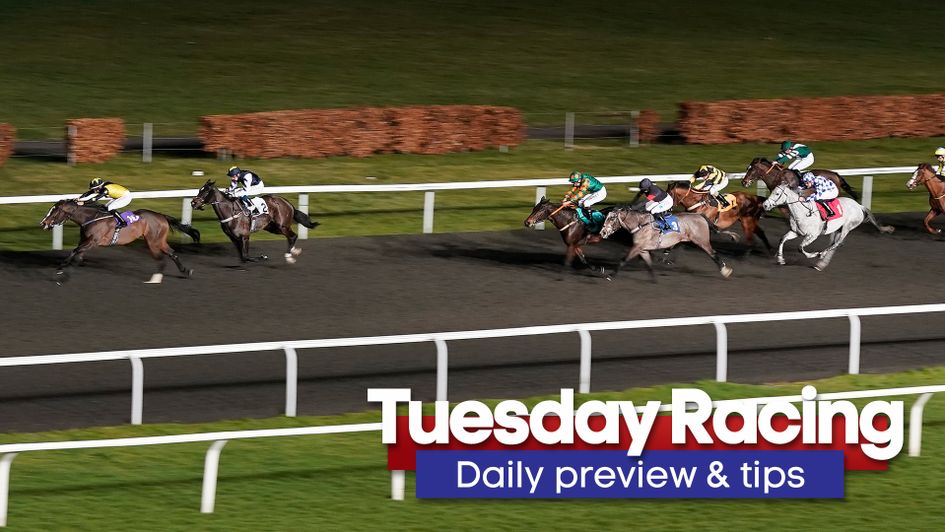 Check out the latest preview