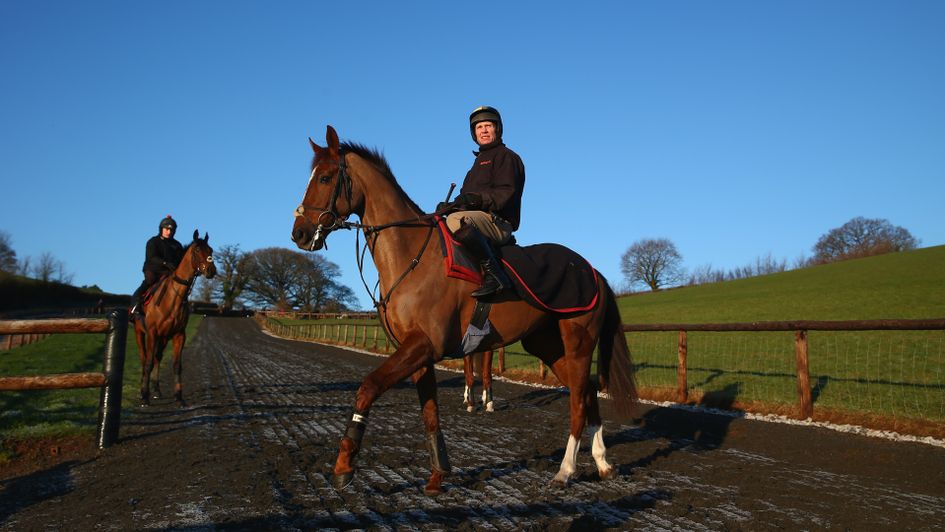 Richard Johnston on Rock The Kasbah