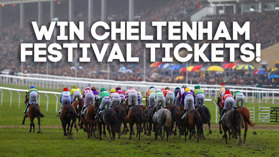 You could win Cheltenham Festival tickets