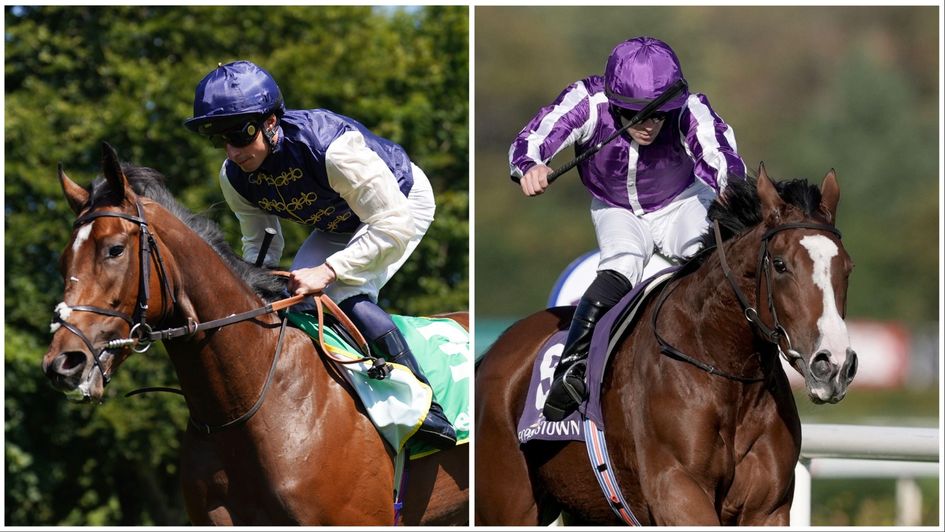 Check out our panel's thoughts on York's Thursday action