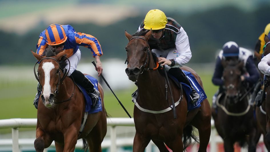 A Lilac Rolla looks a filly to follow