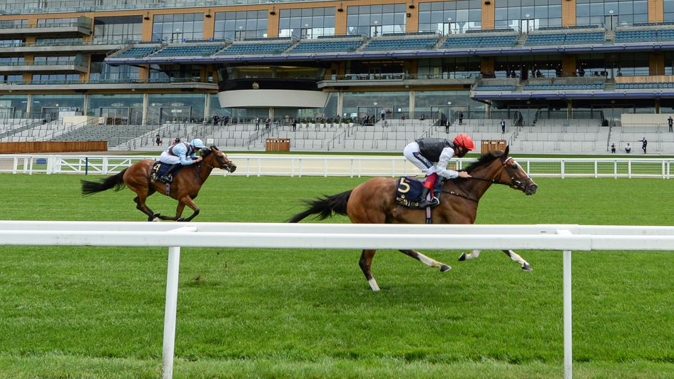 Ribblesdale glory for Frankly Darling