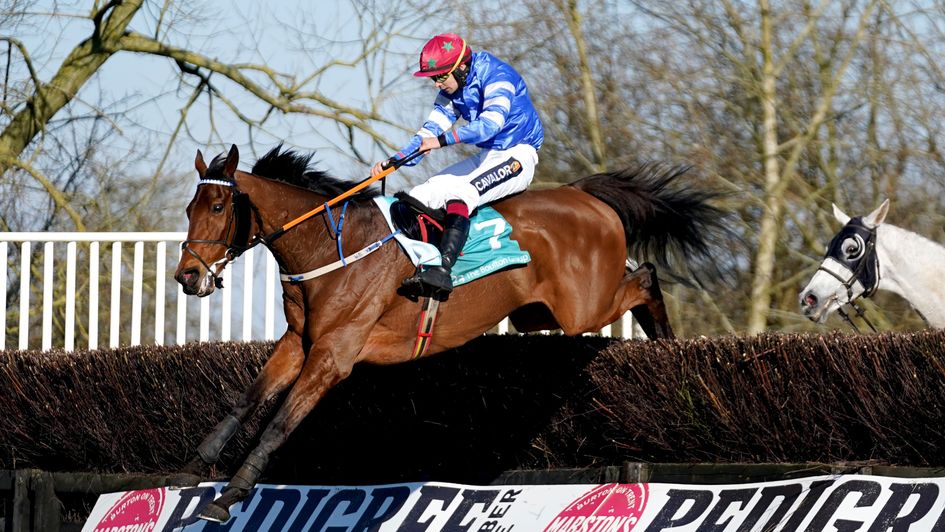 Screaming Colours on his way to Midlands Grand National glory