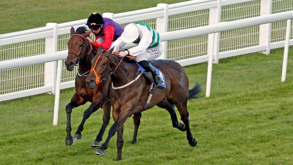 Arriviste (near side) looks a good bet at HQ