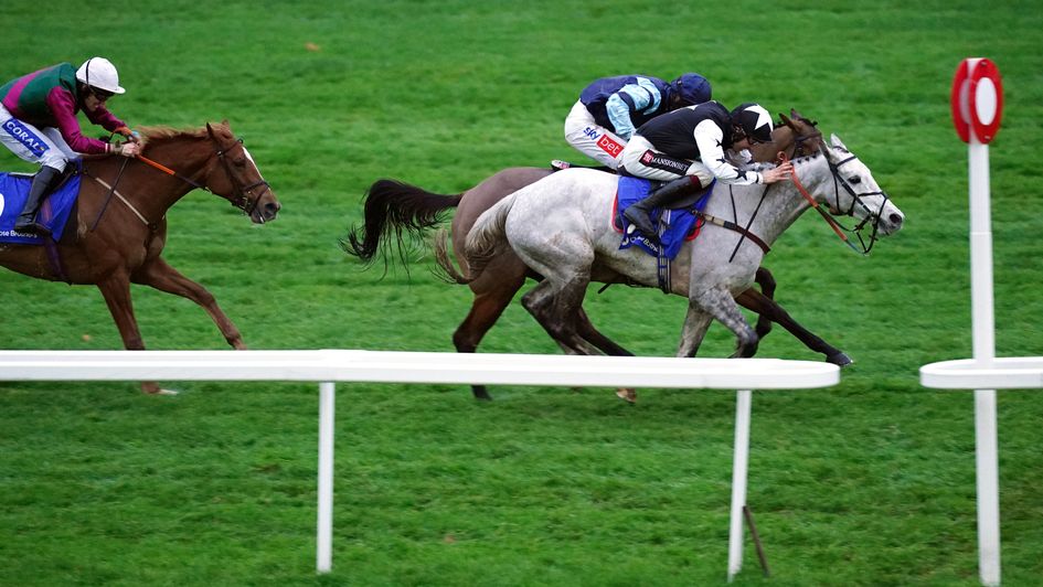 Martello Sky comes out on top at Cheltenham