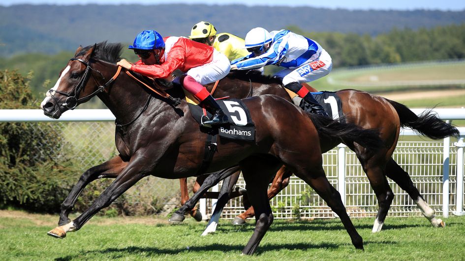 Regal Reality swoops late at Goodwood