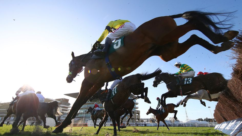 Horses in full flight over a fence at Cheltenham
