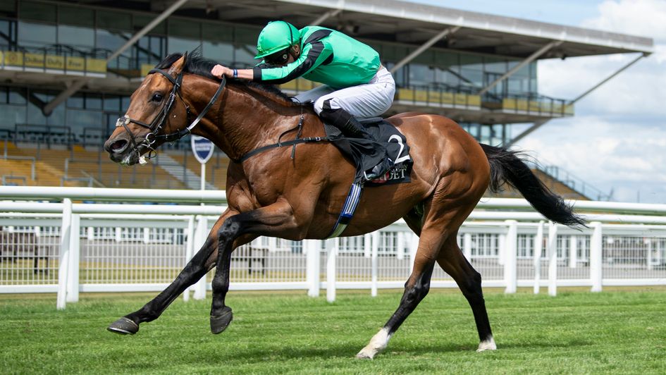Century Dream wins in front of empty stands at Newbury