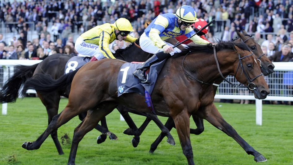 Bungle Inthejungle winning at Ascot