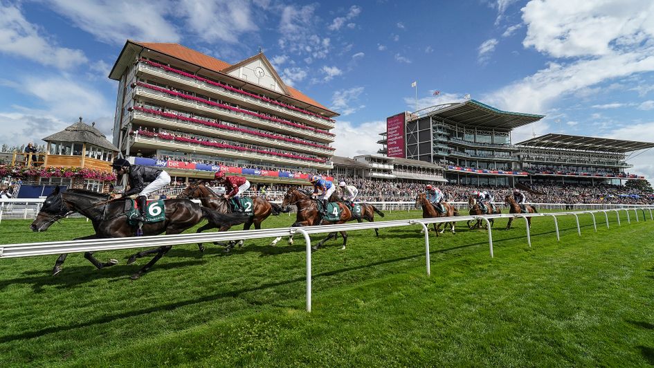 A view of some of the runners at York's Ebor Festival