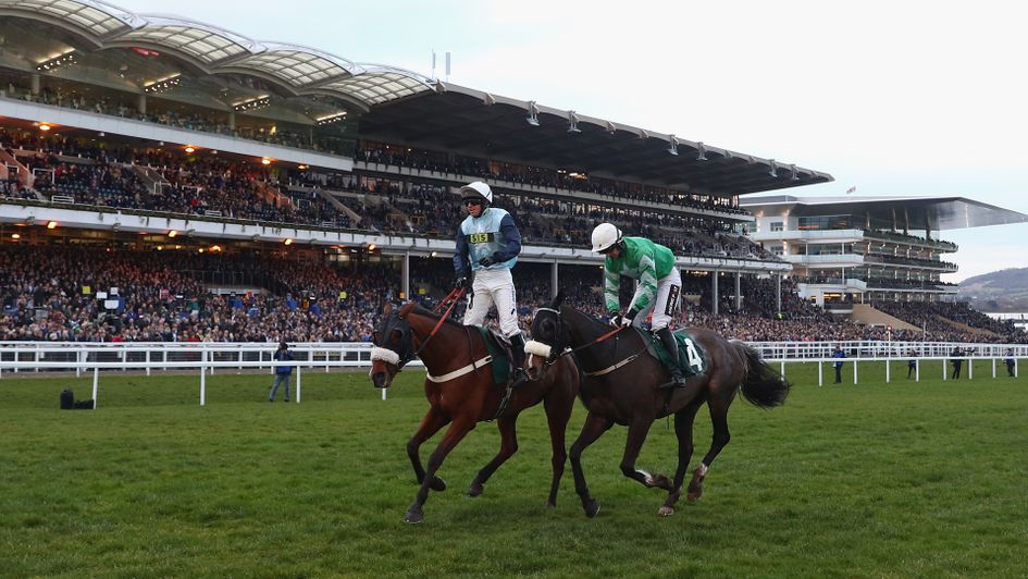 Missed Approach beats Mall Dini in the Kim Muir at Cheltenham