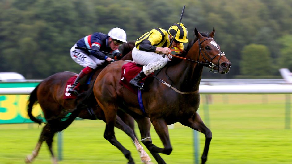 Ramazan wins at Haydock