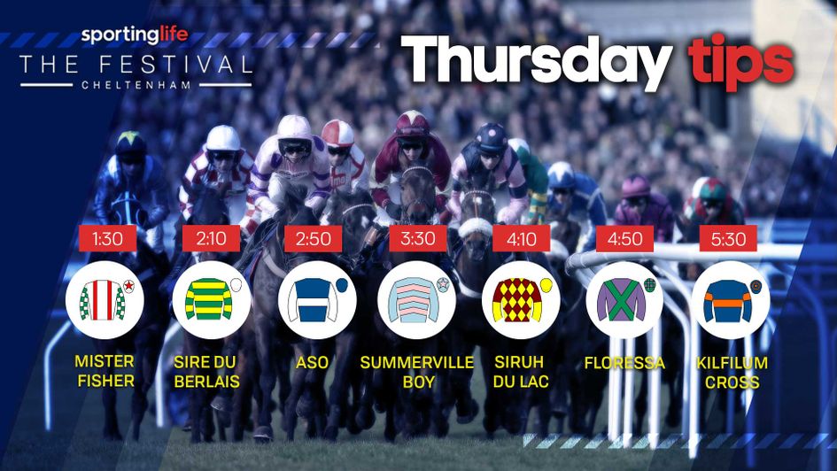 Our team's best bets for the Festival on Thursday