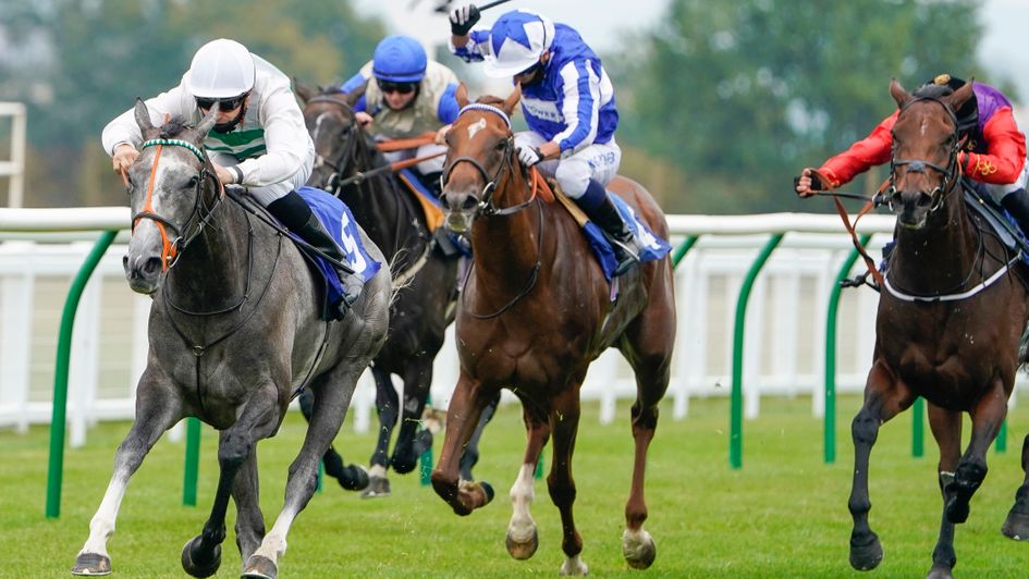 Alpinista springs a surprise at Salisbury