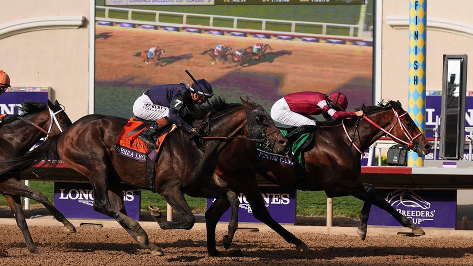 Forever Young hangs on from Sierra Leone