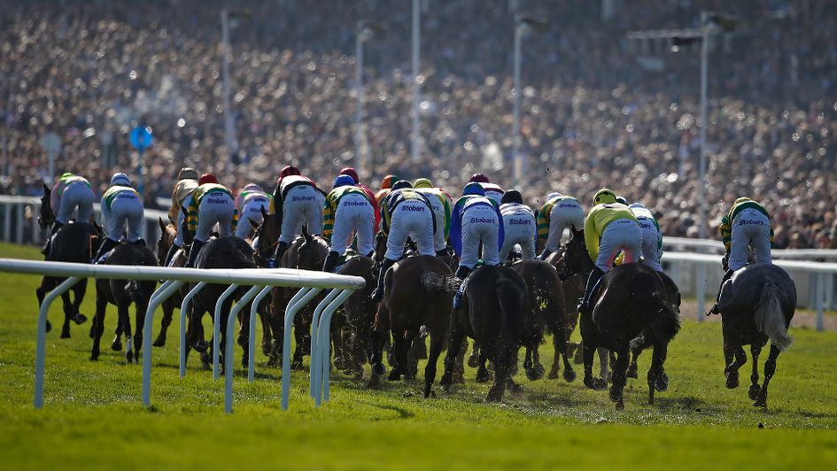 Two traders give their view on the Cheltenham Festival