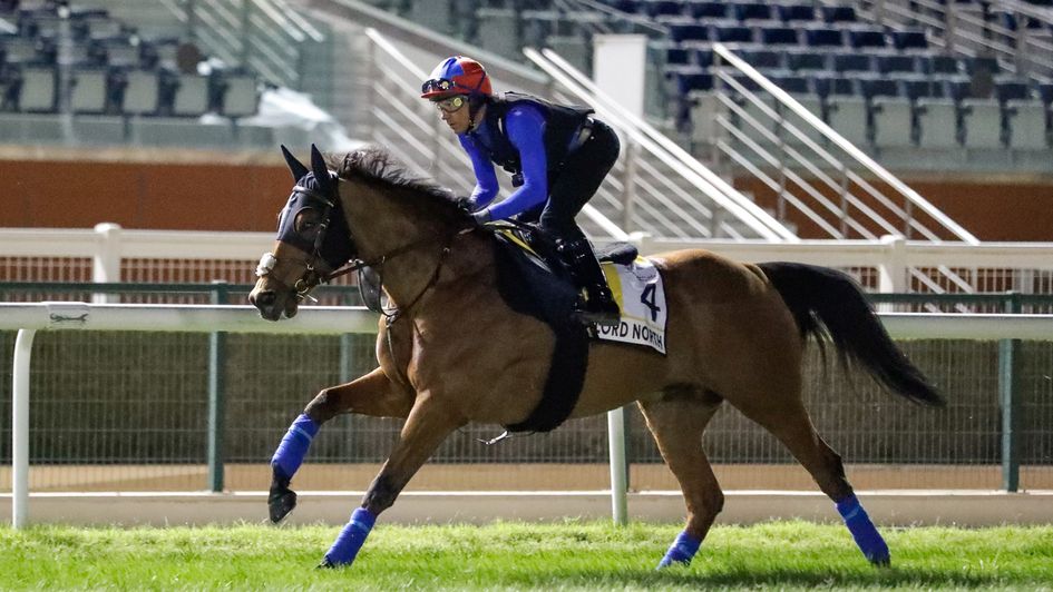 Frankie Dettori on Lord North (Dubai Racing Club, Liesl King)