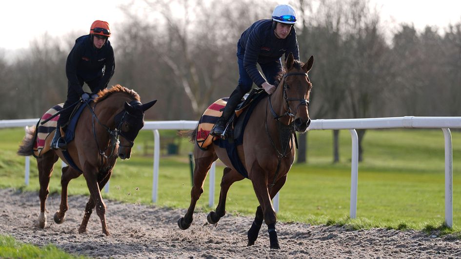 Meetmebythesea (right) and No Questions Asked