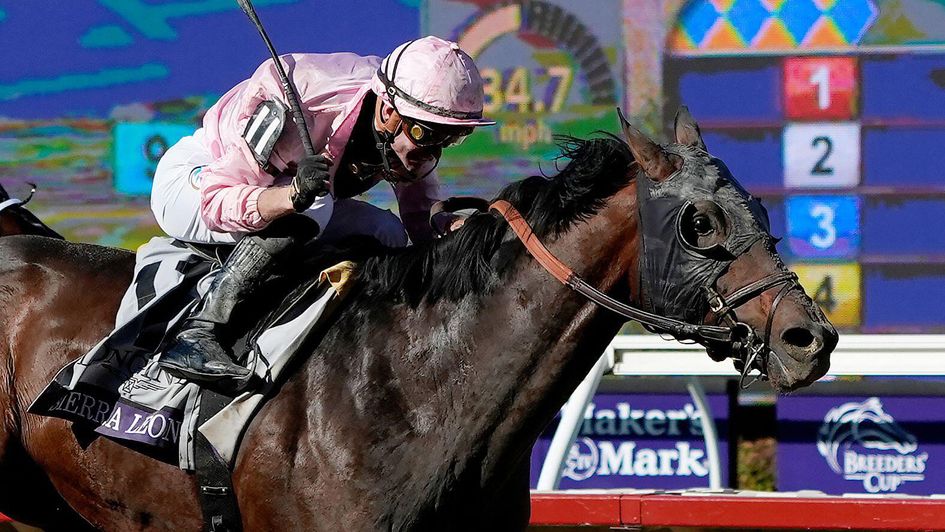 Sierra Leone winning last year's Breeders' Cup Classic