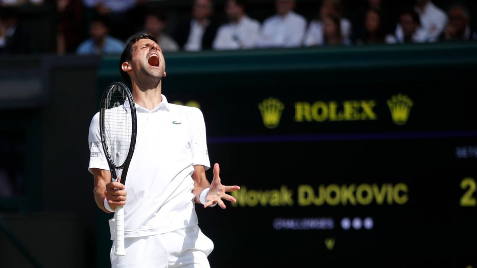 Novak Djokovic celebrates reaching another Wimbledon final