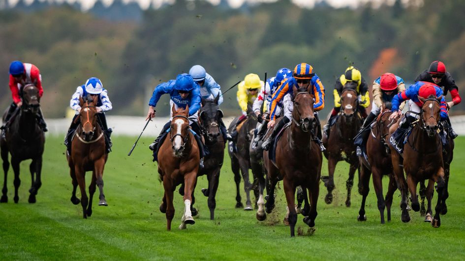 Mission Central (orange and blue) wins the new 2YO race on Champions Day