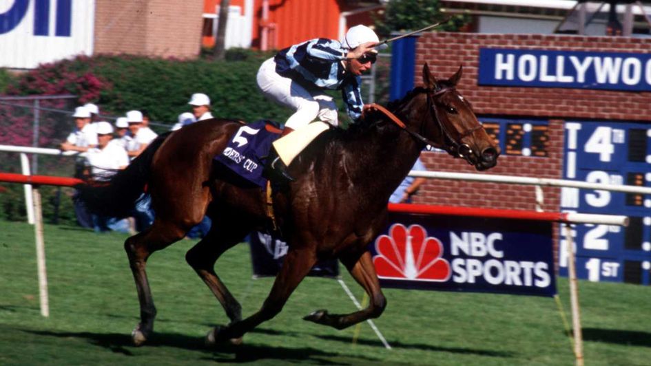 Miesque wins her first Breeders' Cup Mile in 1987