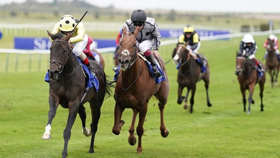 Bounce The Blues (black cap) - one to follow