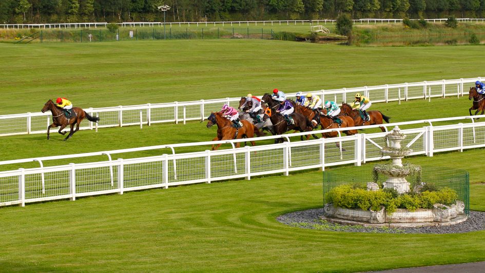 Citron Major in winning action at Ripon