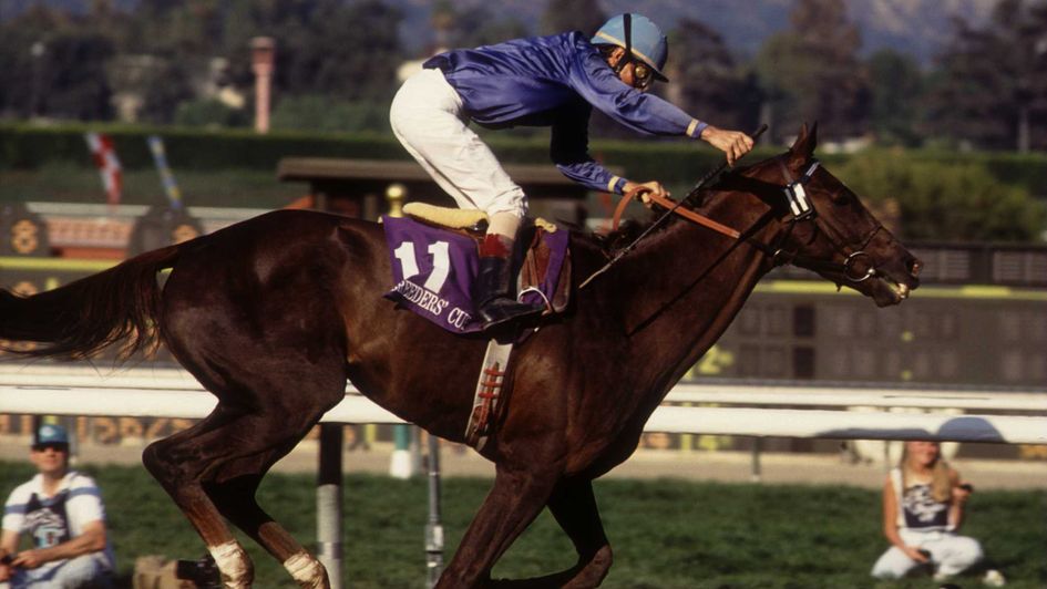Arcangues in 1993: The last European-trained horse to win the Breeders' Cup Classic on Dirt