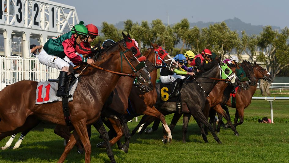 Action from Golden Gate Fields