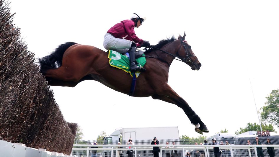 Mahons Glory - heads to the Topham