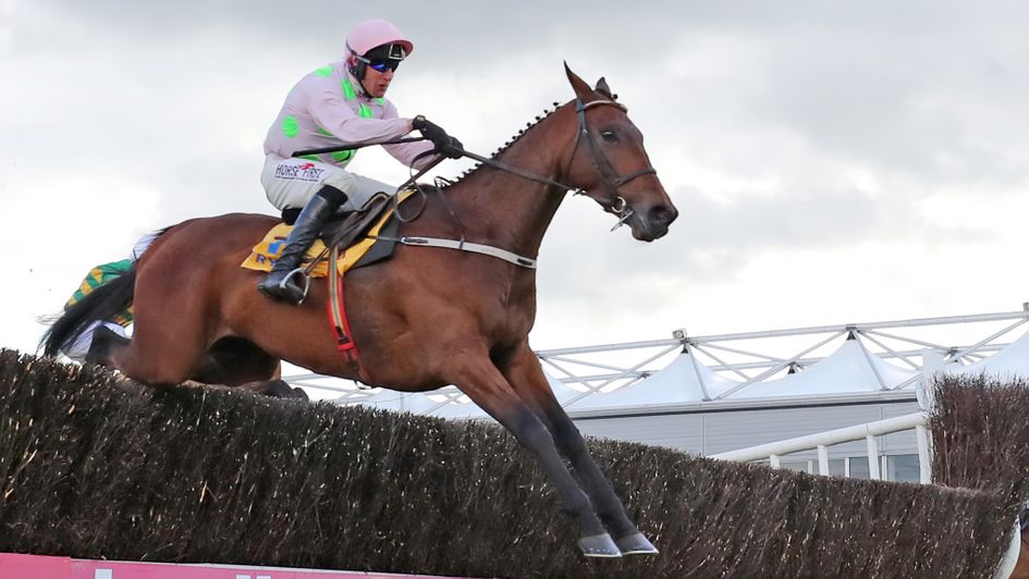 Chacun Pour Soi - exciting prospect