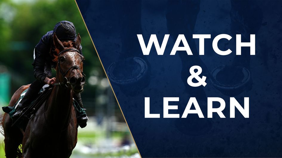 Savethelastdance was impressive at Chester