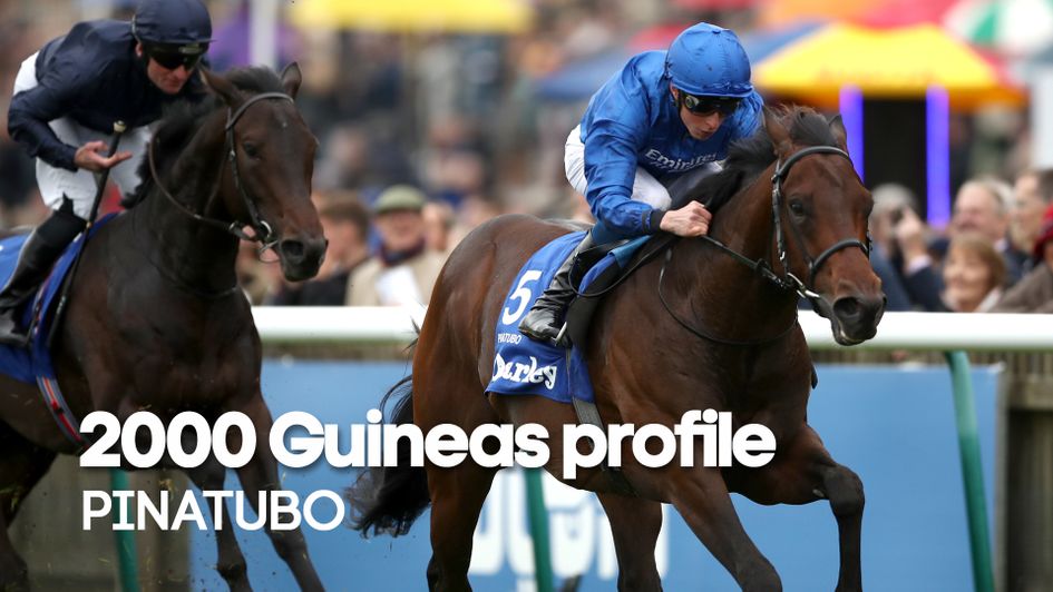 Pinatubo carried all before him in 2019 - will the trend continue?