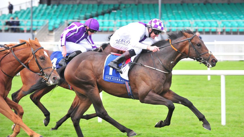 Warm The Voice took the finale