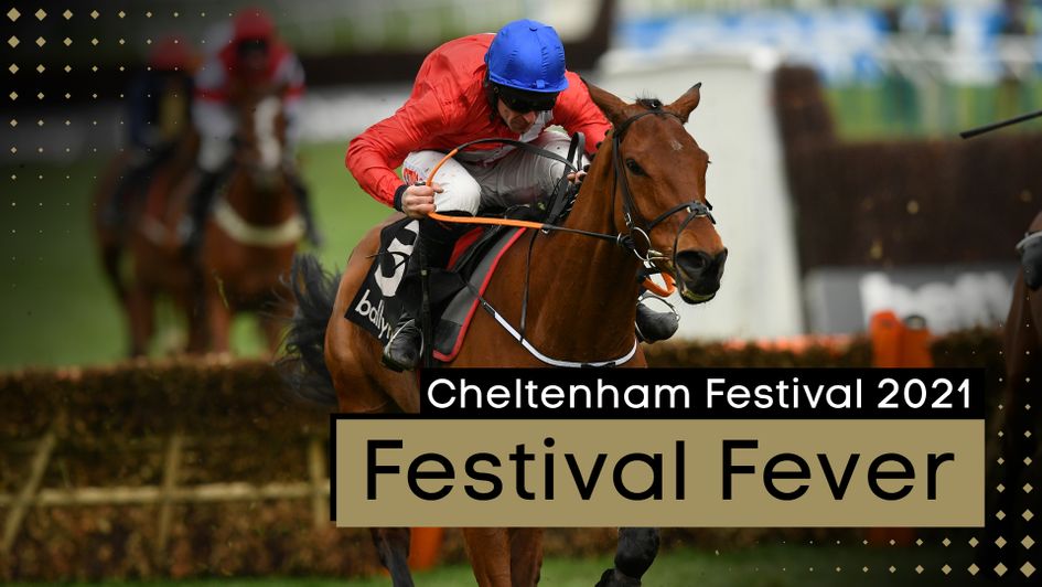 The countdown to the Festival begins...