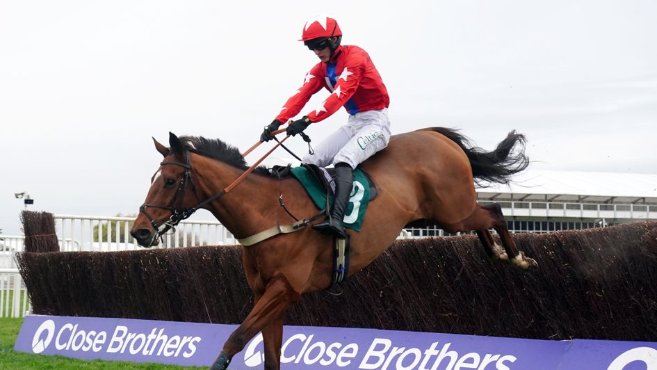 The thriving Editeur Du Gite wins again