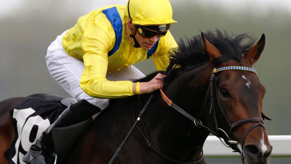 Young Rascal under James Doyle