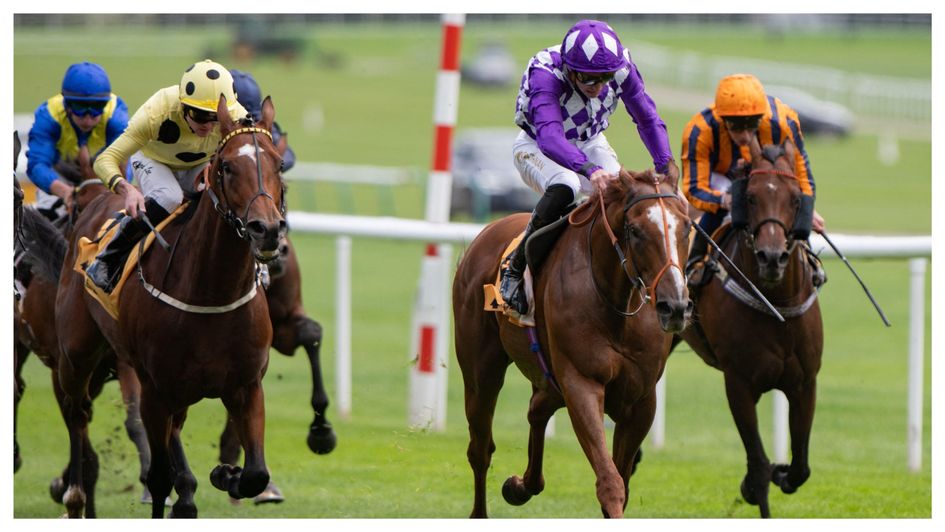 Persica just gets up at Haydock