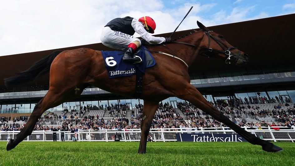 Homeless Songs - heads to the top of the Timeform charts