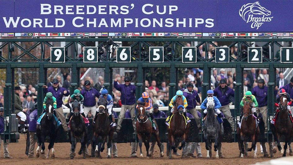 Keeneland last staged the Breeders' Cup in 2015