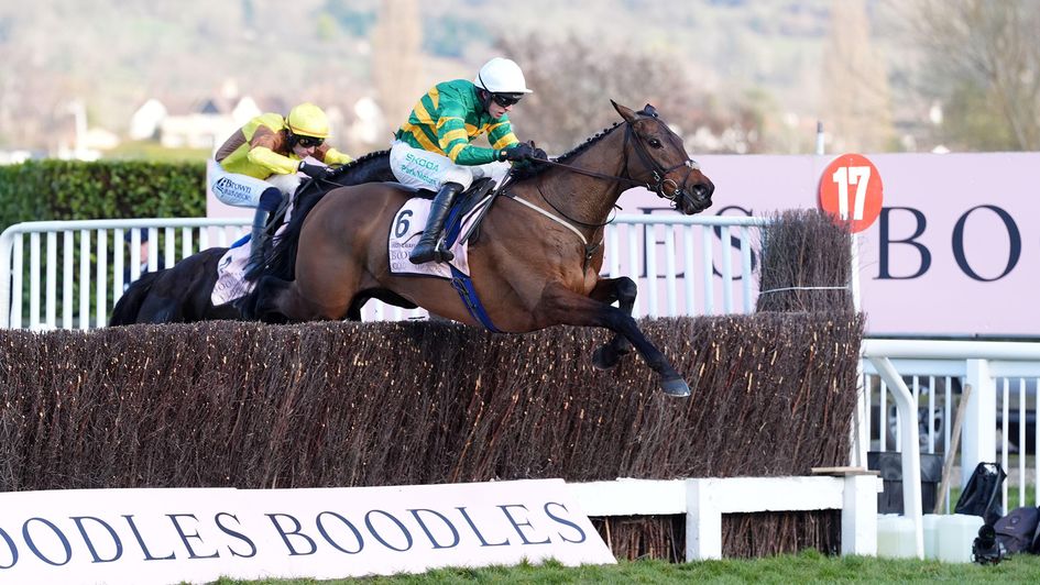 Inothewayurthinkin takes the last fence in style at Cheltenham