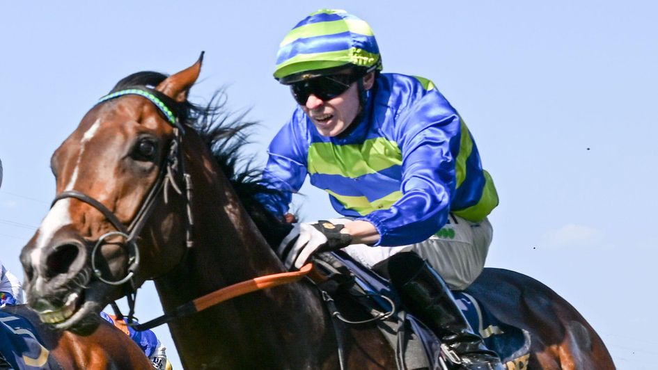 La Botte: Well backed for the Lincoln
