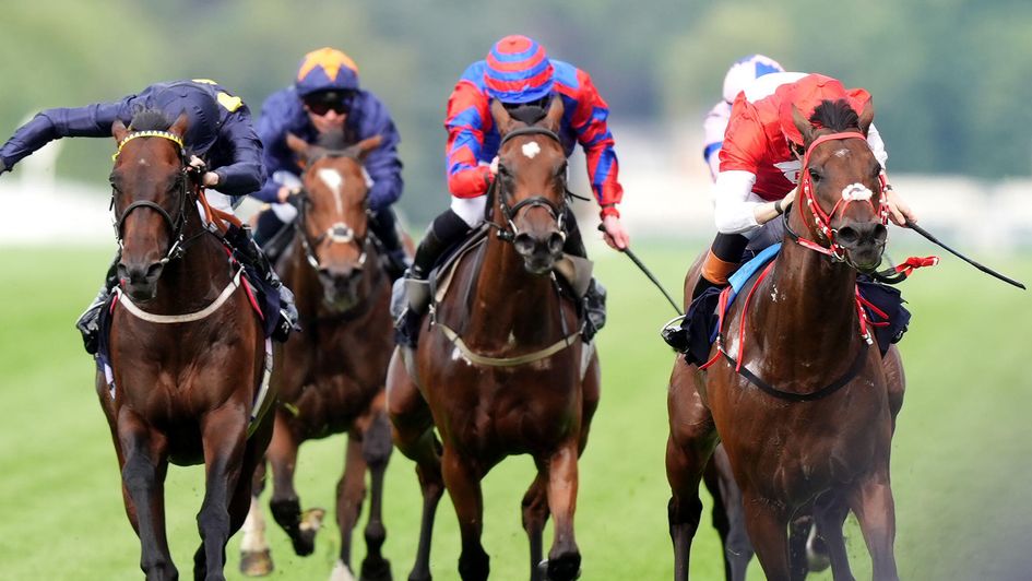 Rogue Diplomat (right) wins the Hunt Cup