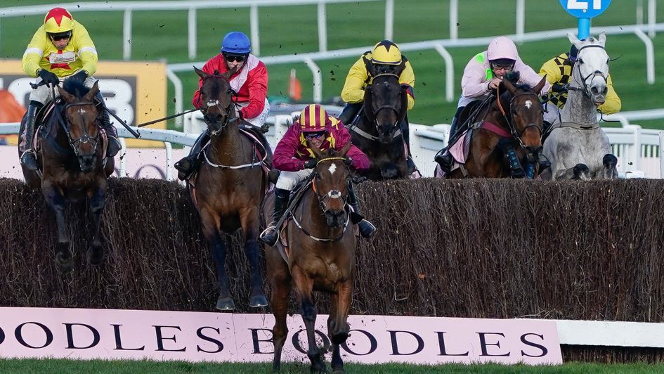 Minella Indo leads over the second last