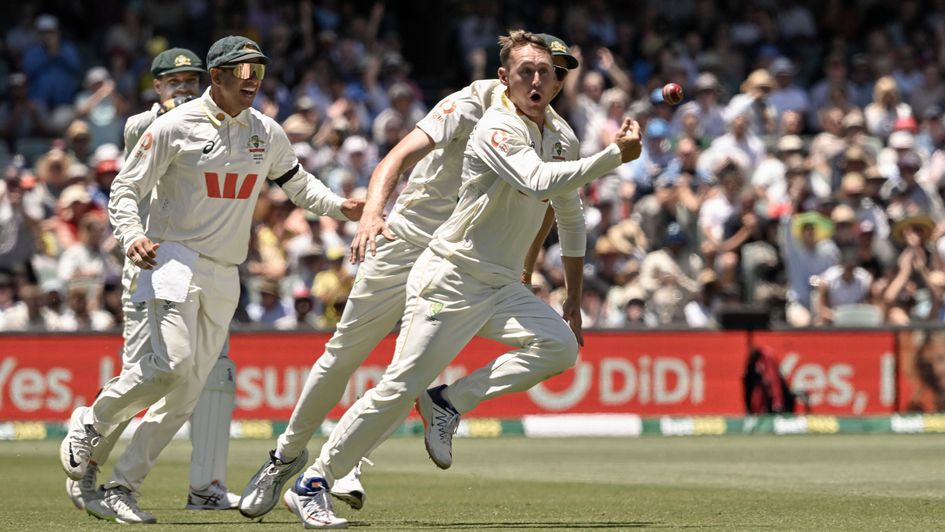 Australia just too good for England